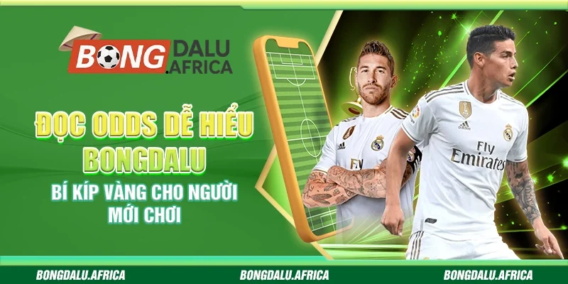 Đọc Odds Dễ Hiểu Bongdalu - Bí Kíp Vàng Cho Người Mới Chơi